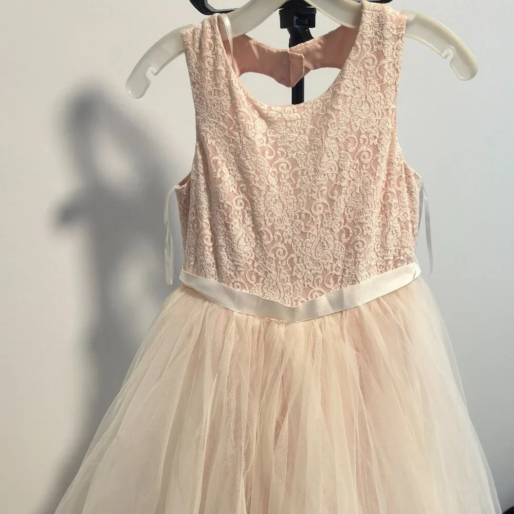 Ball Gown Flower Girl Dress with Heart Cutout , Whisper Pink , Size 14 - Picture 2 of 5